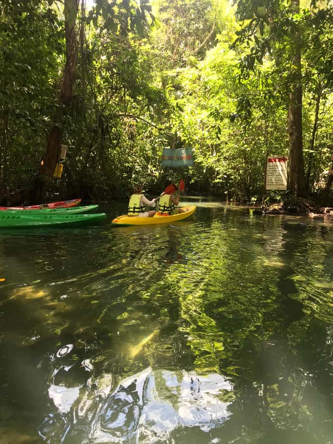Krabi: Amazon Klong Srakaew Kayaking With Lunch - The short 3-hour plan: kayak, tube float, then lunch