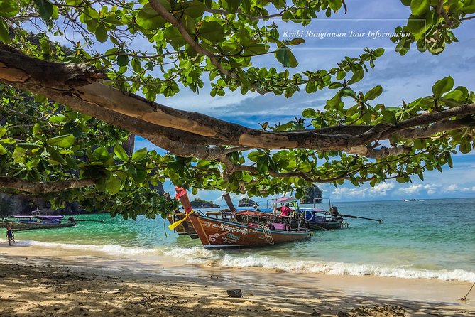 Krabi Ao, nang Bioluminescent plankton by longtail boat - Getting There: Ao Nang Meeting Point and Start Window