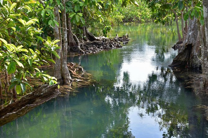 Krabi Countryside Eco Cycling Tour - Multiple Trails - Trail time: quiet roads, forest paths, and wildlife moments