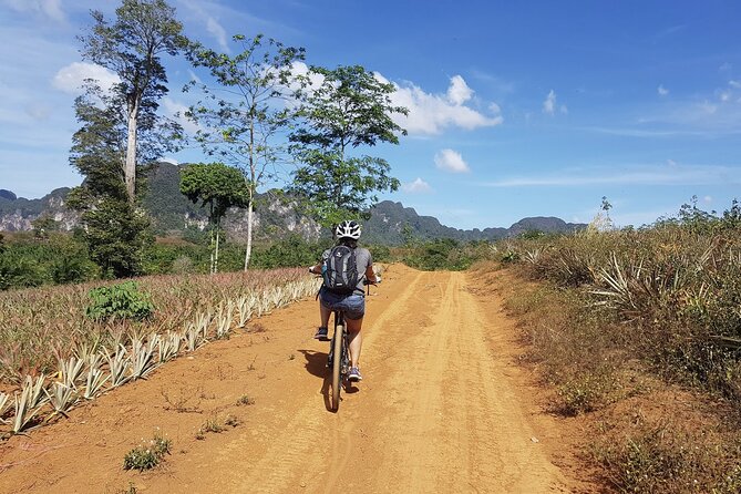 Krabi Countryside Eco Cycling Tour - Multiple Trails - Morning start, pickup options, and who this suits best