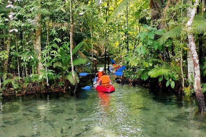 Krabi Crystal Lagoon Kayaking Experience - The mangrove paddling: narrow waterways, wildlife chances, and guide help