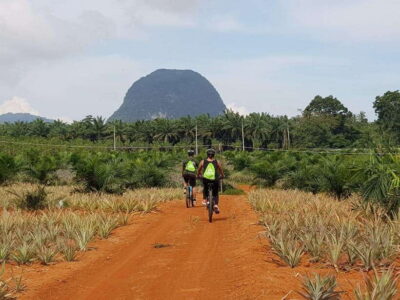 Krabi: Eco-Cycling Tour with Nature, Culture, and Fun - Bike setup, 24 gears, and what the riding feels like