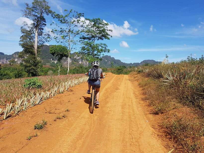Krabi: Eco-Cycling Tour with Nature, Culture, and Fun - Sightseeing time: Crystal Pool and Krabi hot springs