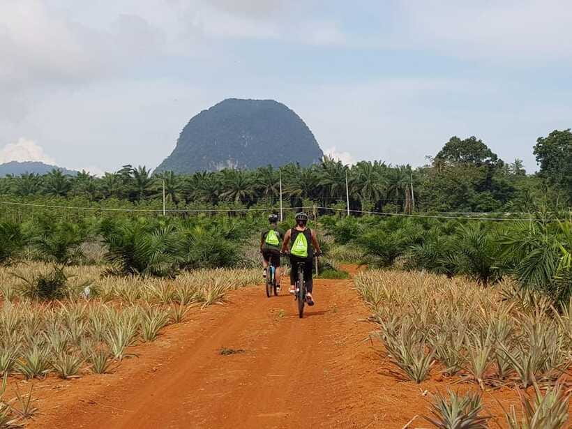 Krabi: Eco-Cycling Tour with Nature, Culture, and Fun - Who this eco-cycling tour suits best