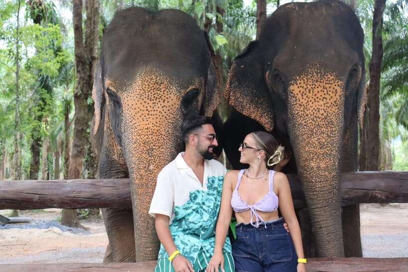 Krabi: Elephant Feeding Program - Krabi Elephant Shelter: what this 30-minute feeding really is