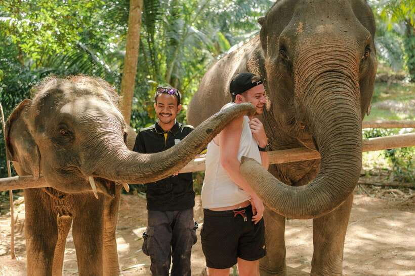Krabi: Elephant Sanctuary (near Ao Nang) Visit - The 30-minute itinerary: tools, fruit feeding, and photos