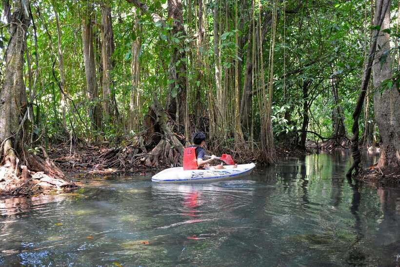 Krabi: Emerald Cool-Down & Kayak Odyssey in Din Daeng Canyon - Ao Thalane kayaking: where calm paddling starts