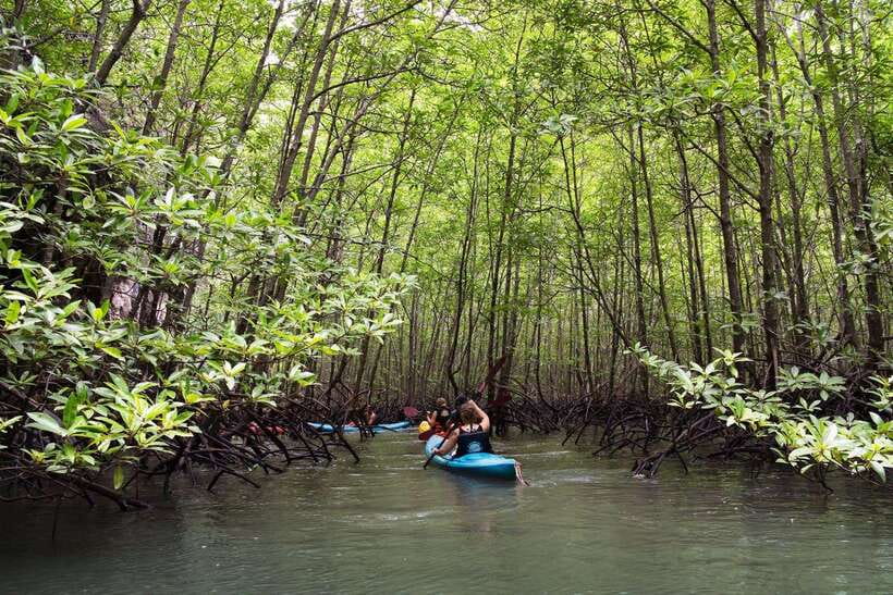 Krabi: Emerald Cool-Down & Kayak Odyssey in Din Daeng Canyon - Monkey Beach swim: quick refresh, not a long hang