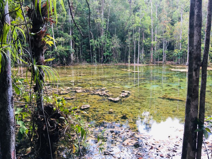 Krabi: Emerald Pool and Hot Springs Waterfall Half-Day Trip - Should You Book the Krabi Emerald Pool and Hot Springs Half-Day Trip?
