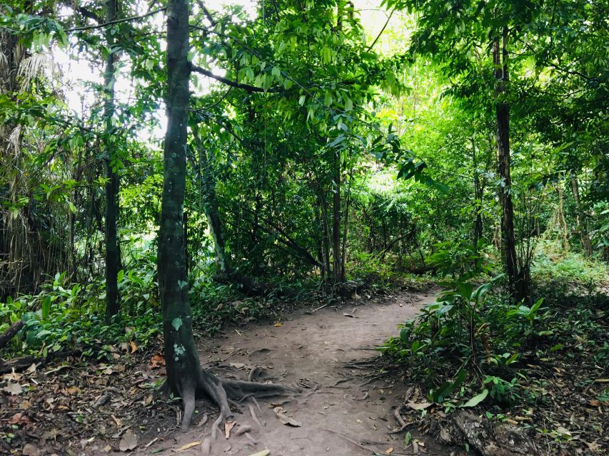 Krabi: Emerald Pool and Hot Springs Waterfall Half-Day Trip - Price and Park Fees: What This Trip Really Costs