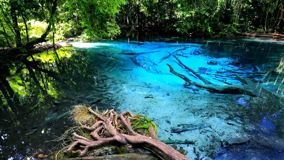 Krabi: Emerald Pool and Hot Springs Waterfall Half-Day Trip - Emerald Pool in Khao Phra Bang Khram: The Green Water Moment
