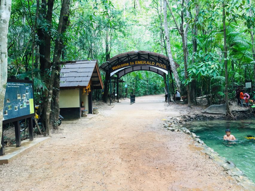 Krabi: Emerald Pool and Hot Springs Waterfall Half-Day Trip - The Short Walk Among Ancient Trees and Guide Commentary
