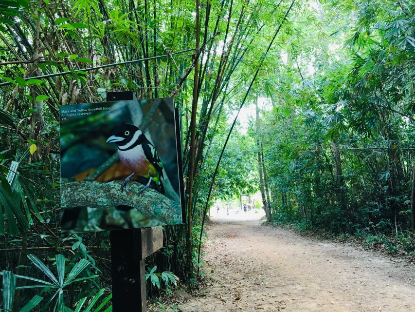 Krabi: Emerald Pool and Hot Springs Waterfall Half-Day Trip - What to Bring (So You Don’t Turn This Into a Hassle)