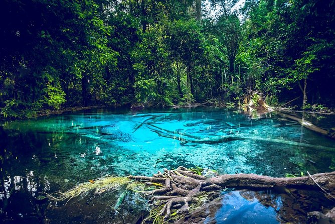 Krabi Emerald Pool, Hot Spring and Tiger Temple - Key highlights at a glance