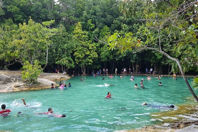 Krabi Emerald Pool, Hot Spring and Tiger Temple - Lunch included: more than a checkbox