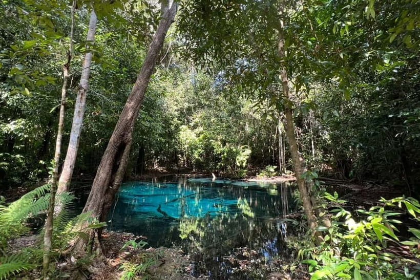 Krabi: Emerald Pool, Hot Springs, and Kayaking Tour - Price and logistics: how $69 stacks up when you add entrances