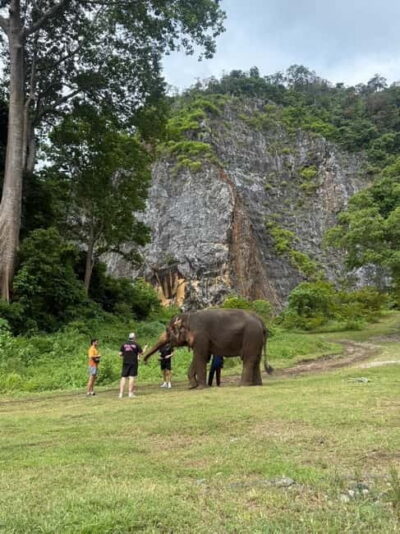Krabi: Ethical Elephant Sanctuary & Tiger Cave Temple Tour - Tiger Cave Temple in Krabi: 1,237 Steep Steps and the 360° Payoff