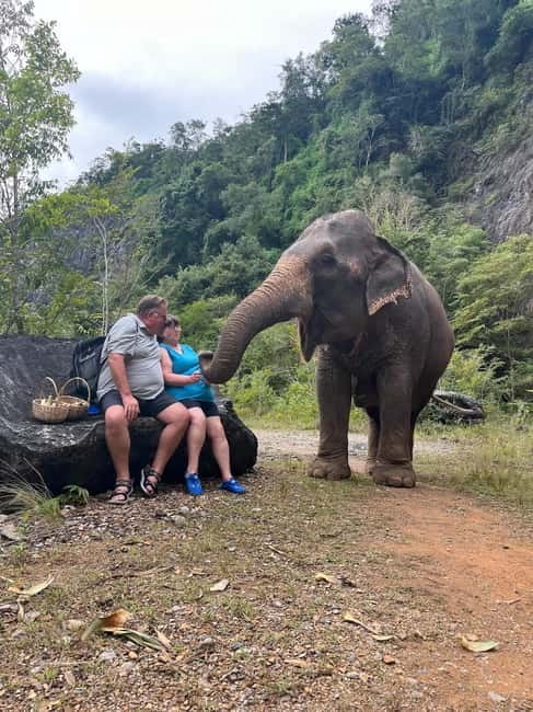 Krabi: Ethical Elephant Sanctuary & Tiger Cave Temple Tour - Price and value: Why this $42 tour can be a smart buy