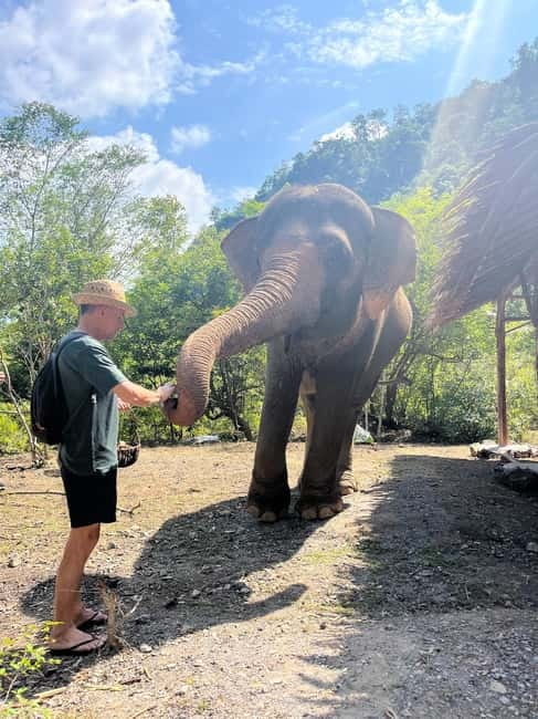 Krabi: Ethical Elephant Sanctuary & Tiger Cave Temple Tour - Who should choose this tour (and who should skip it)