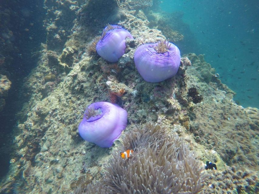 Krabi: Freediving and Snorkeling at Yawasam and Talu Island - What to Bring (So You Enjoy Every Stop)