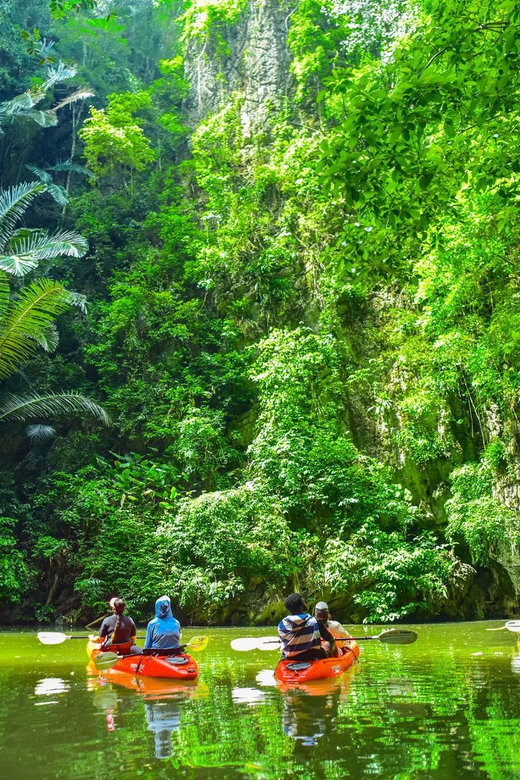 Krabi: Half-Day Bor Thor Mangrove Kayaking Tour - Pee Hua Toh Cave: prehistoric cave paintings in a place you can reach by kayak