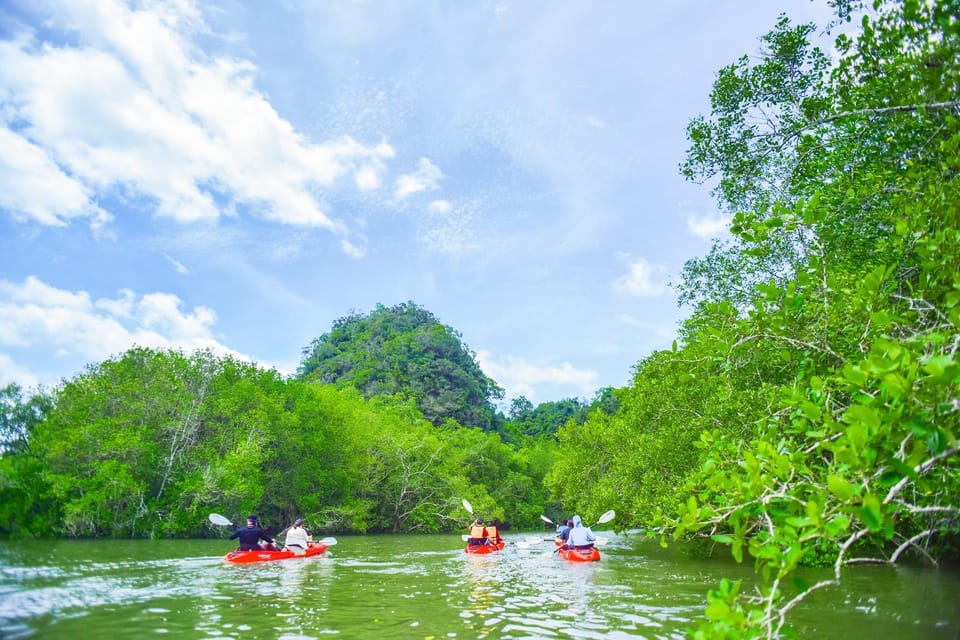 Krabi: Half-Day Bor Thor Mangrove Kayaking Tour - Price and value: is $53 a fair deal in Krabi?