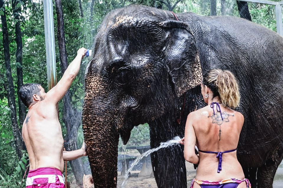 Krabi: Highlights Tour with Krabi Elephant Shelter - Key highlights worth your attention