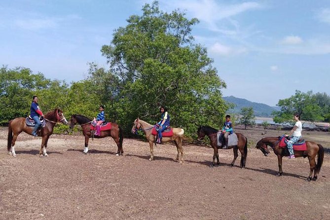 Krabi Horse Riding at The Beach - Price and Value: Is $44.90 a Fair Deal?