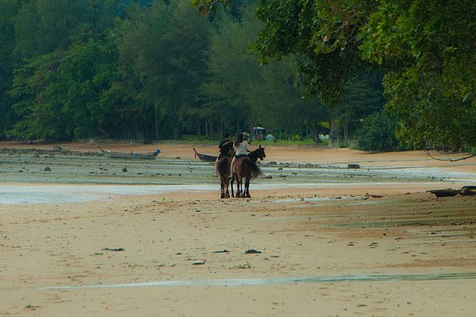 Krabi Horse Riding at The Beach - Who This Tour Fits Best (and Who Should Skip It)