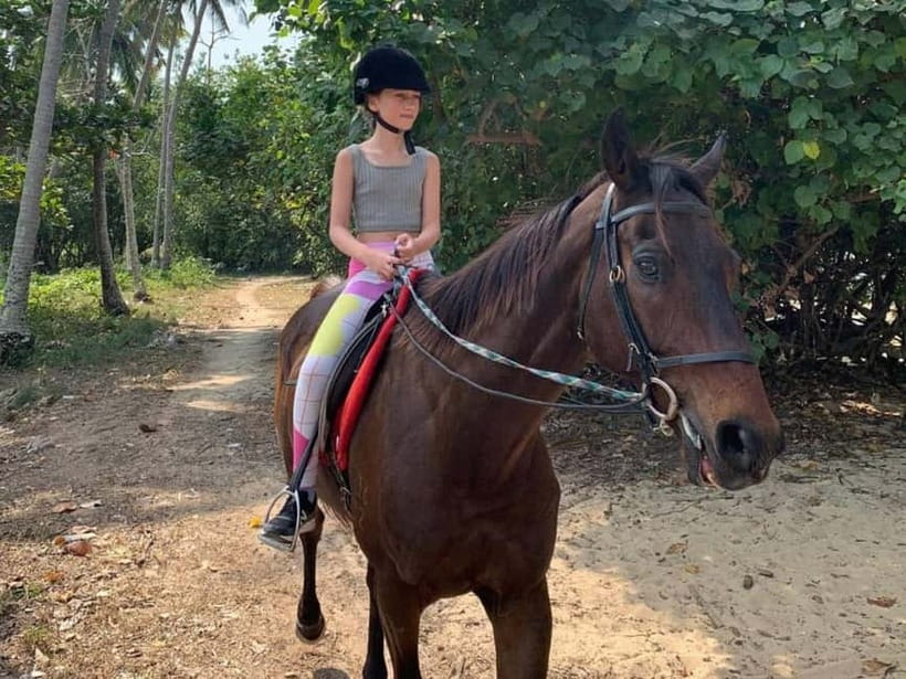 Krabi: Horse Riding On Klong Muang Beach - Who Should Book This Horse Ride (and Who Might Want Another Plan)