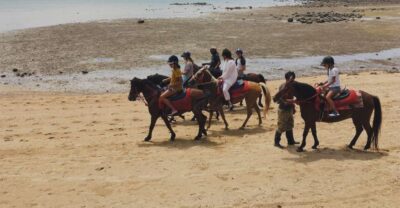 Krabi: Horseback Riding on the Beach - 1 hour, 2 hours, or 1:30 sunset: picking the right horse time