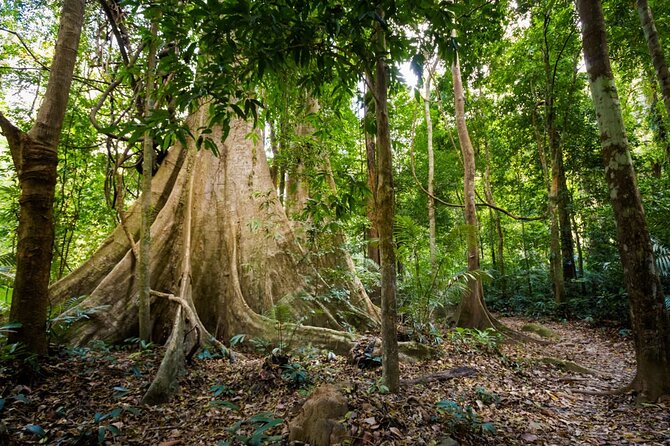 Krabi Jungle Adventure: Emerald Pool, Hot Springs & ATV - Lunch and small comforts: the unglamorous stuff that matters