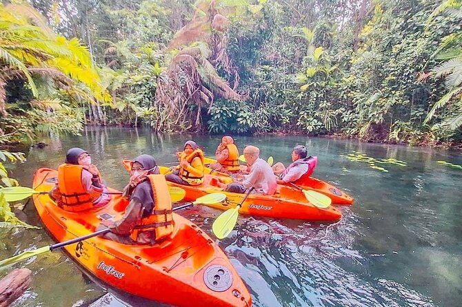 Krabi Kayaking and Swimming Clong Rood - Swimming in Klong Namsai: what to expect from the mirror-water