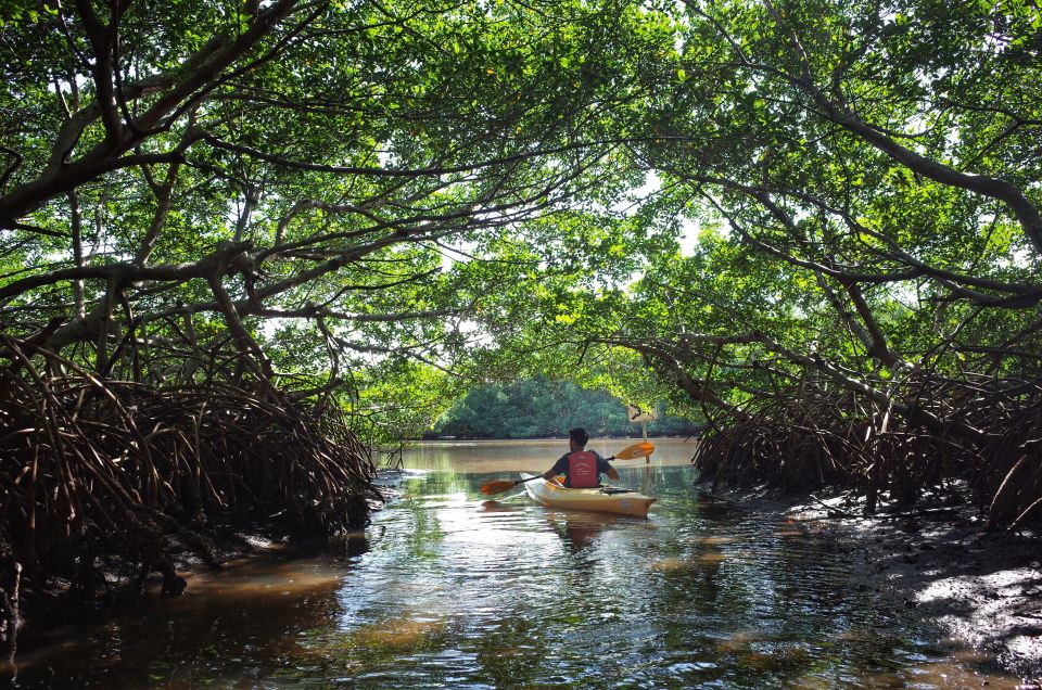Krabi kayaking Ao thalane - Why Ao Thalane Mangroves by Kayak Beat a Sit-Down Boat