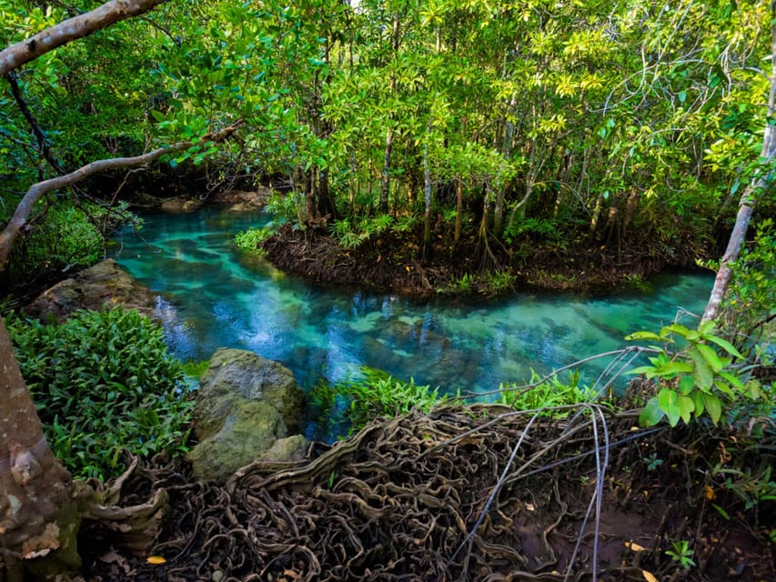 Krabi: Kayaking, Crystal Lagoon, and Fish Spa in Klong Root - Kayaking Through Quiet Water: How the Paddle Fits In