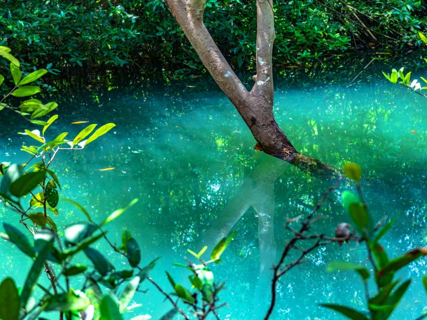 Krabi: Kayaking, Crystal Lagoon, and Fish Spa in Klong Root - Sunset Viewing on the Last Tour: When the Light Makes Everything Calm