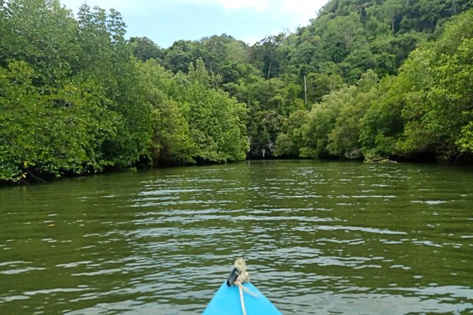 Krabi: Kayaking Tour at Ban Bor Thor Ancient Cave & Mangroves - Tham Pee Hua Tho: the ancient cave walk and the rock paintings moment