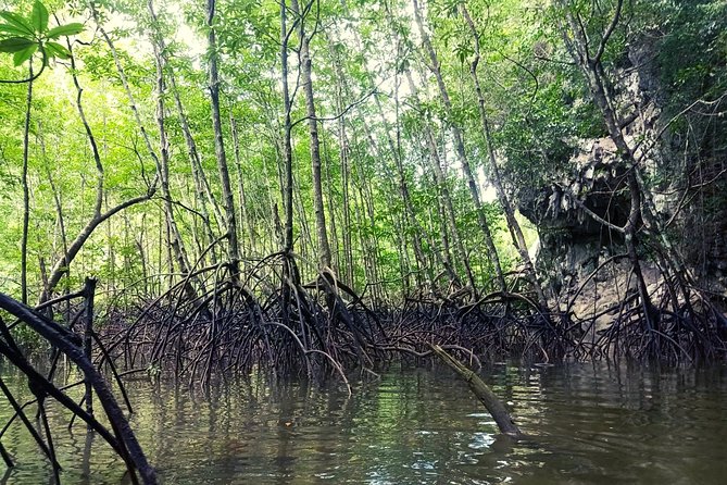 Krabi: Kayaking Tour at Ban Bor Thor Ancient Cave & Mangroves - Should you book if you want nature or if you want cave culture?