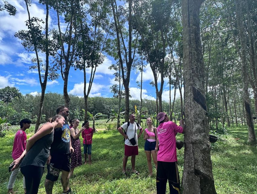 Krabi: Klong Root Kayaking Viewpoint,Fish Feeding and more - Quick hits: what makes this Krabi trip tick