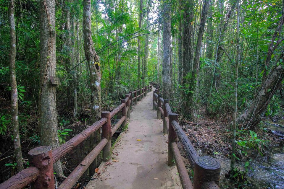 Krabi Outback Explorer with Visit of Tiger Cave Temple - Khao Pra-Bang Khram Wildlife Sanctuary: Jungle Walk, Mangroves, and Bird Chances