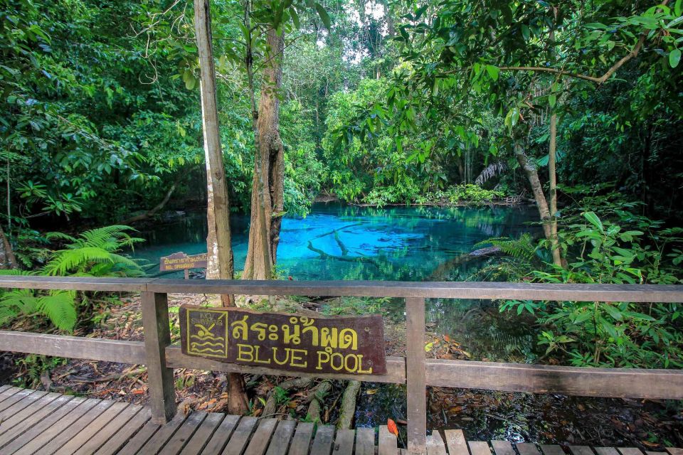 Krabi Outback Explorer with Visit of Tiger Cave Temple - Blue Pool / Sra Morakot: Gorgeous Water, but Check Seasonal Access