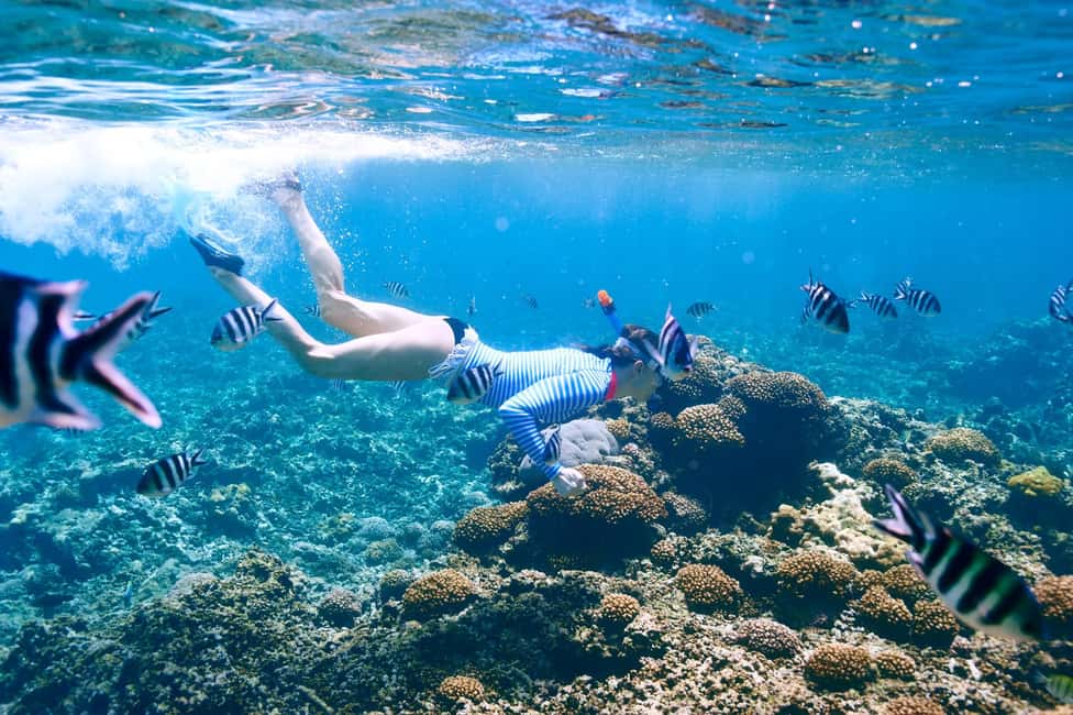 Krabi: Premium Phi Phi Islands Day Trip with Lunch & Snorkel - Bamboo Island: Soft Sand, Clear Water, and a Life Jacket Question