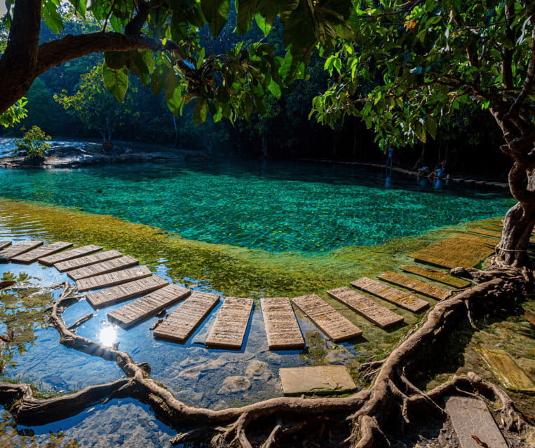 Krabi: Rainforest Jungle Tour with Emerald Pool & Hot Spring - Key Highlights You’ll Feel Immediately
