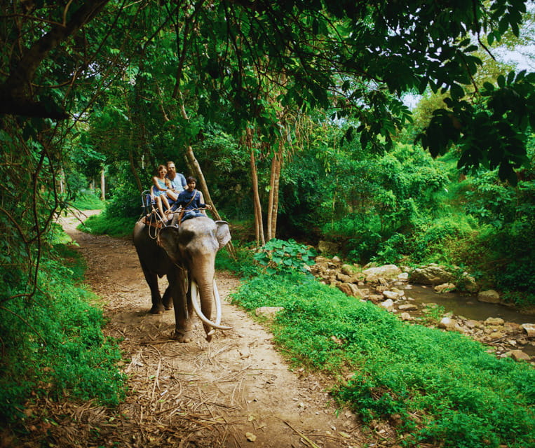 Krabi: Rainforest Jungle Tour with Emerald Pool & Hot Spring - Lunch and Timing: Bundled Comfort, Sometimes Tight Minutes