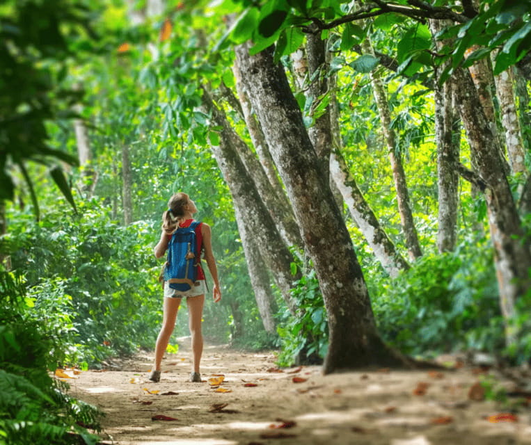 Krabi: Rainforest Jungle Tour with Emerald Pool & Hot Spring - Full-Day vs Half-Day: Choose Based on How Much You Want