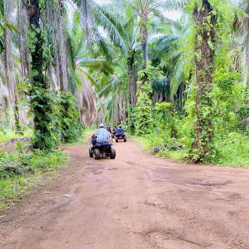 Krabi: Saitai Mountain Tail ATV Adventure - Price and value: is $28 a fair deal in Krabi?
