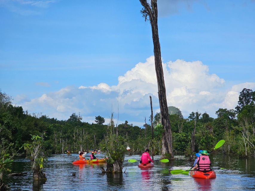 Krabi: South Kayak Klong Root Kayaking Tour - Key things that make this kayak tour worth your time