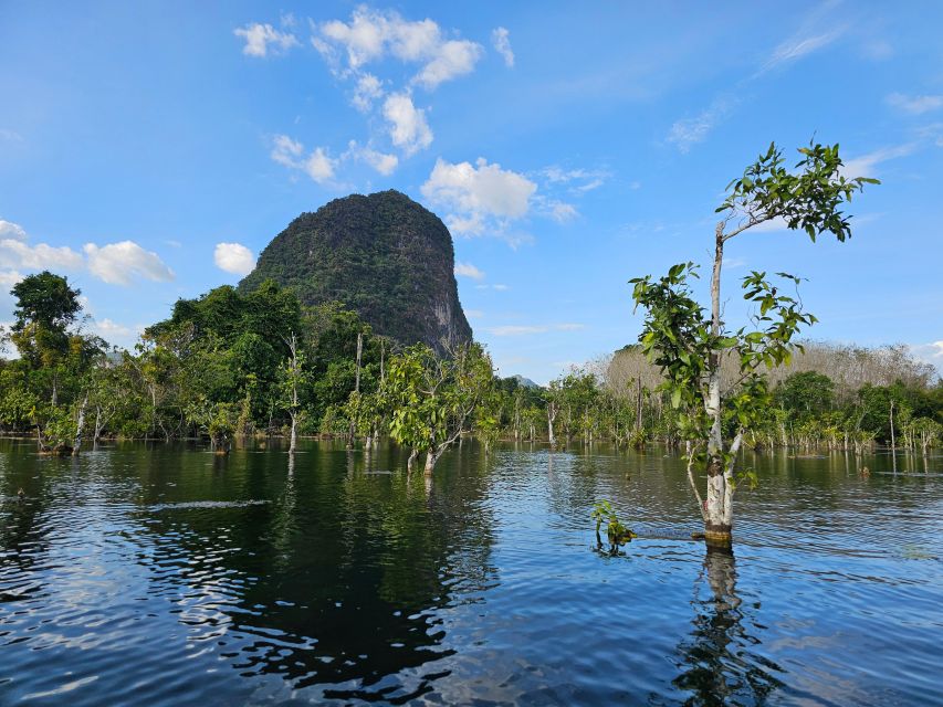 Krabi: South Kayak Klong Root Kayaking Tour - Kayak Time in Khlong Root: What You’ll Be Doing Out There