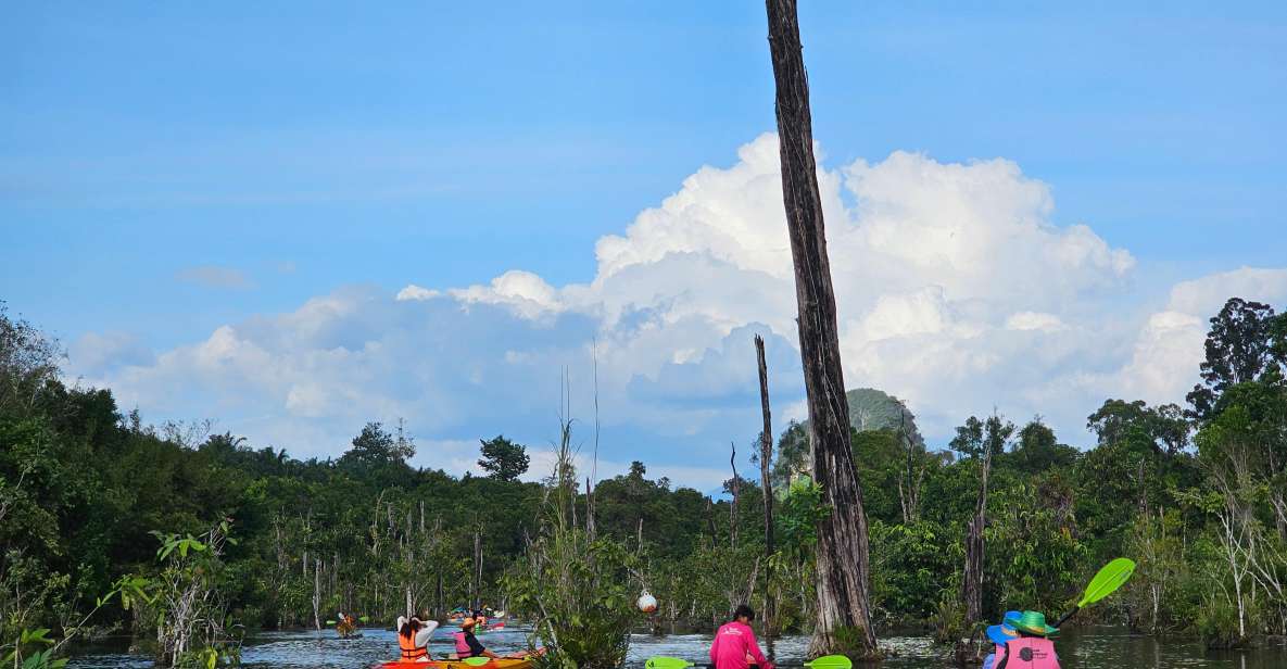 Krabi: South Kayak Klong Root Kayaking Tour - Transfers from Ao Nang: Where the Van Comes In (and the Surcharges Start)