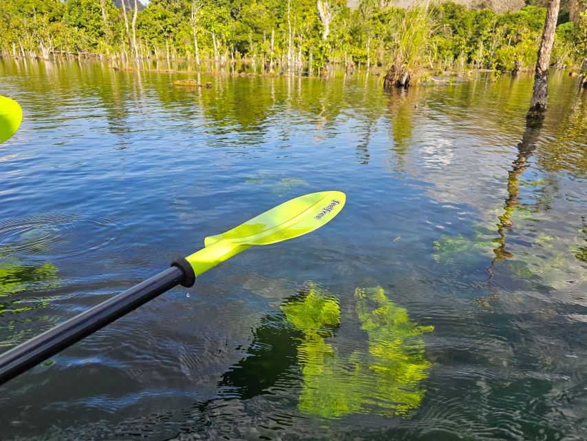 Krabi: South Kayak Klong Root Kayaking Tour - Price and Value: What Your $18 Really Buys